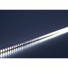 Светодиодная LED лента FERON LS501, 120SMD(2835)/м 11Вт/м 24V 5000*8*1.22мм 6000К 41058